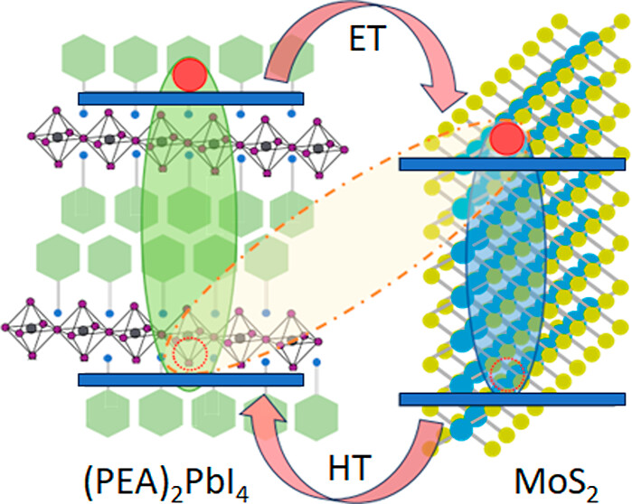 Exciton and Hot Charge Carrier Dynamics in a MoS<sub>2</sub>/(PEA)<sub>2</sub>PbI<sub>4</sub> 2D Heterostructure